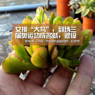 皇冠体育官方入口