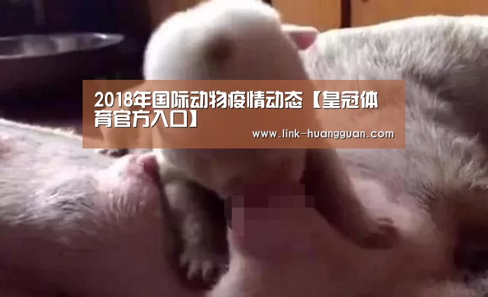 皇冠体育官方入口