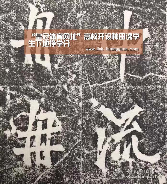 皇冠体育app