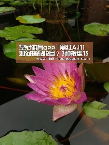 皇冠体育app|
黑红AJ11如何搭配悦目?3种裤型15张上脚美图 穿得帅其实很简朴(图3) 皇冠体育app