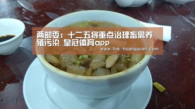 皇冠体育app