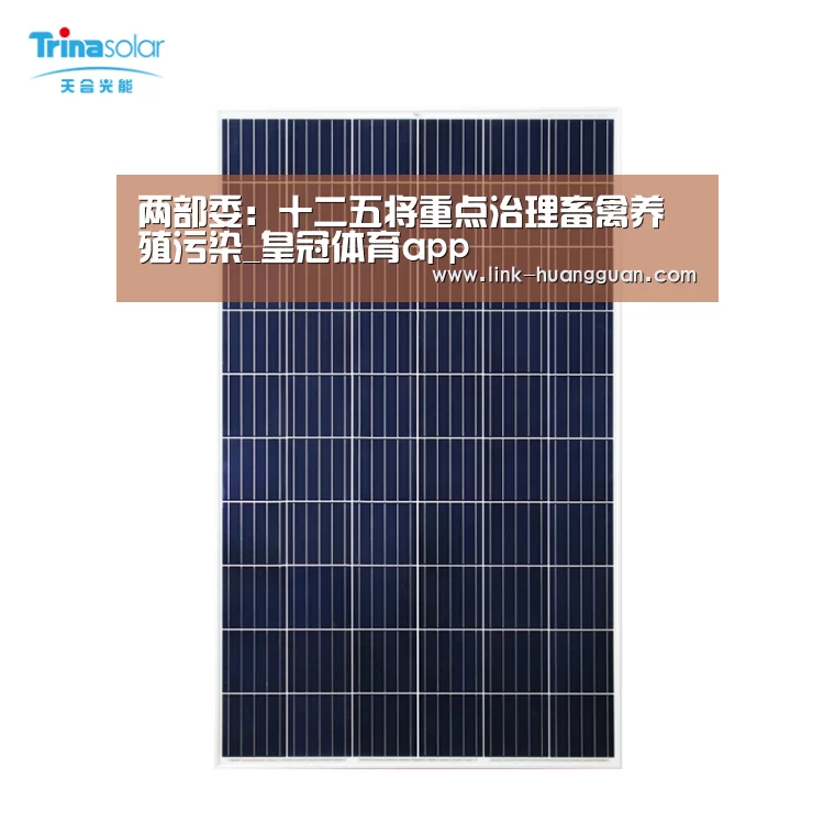 皇冠体育官方入口