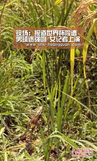 现场:报道世界杯险遭男球迷强吻 女记者上演“教科书级的回应|皇冠体育网址(图2) 皇冠体育app